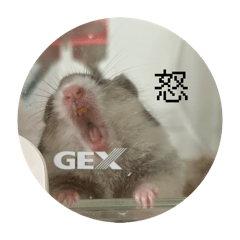 Ayumi_20260217033726