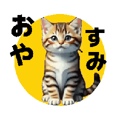 takayo_20260217103321