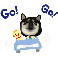 QQㄅㄧ