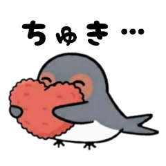 kazue_20260217130727