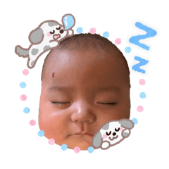 agata_20260217162032