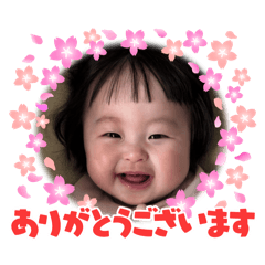 sueshiho_20260217162523