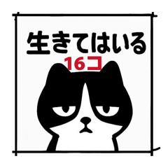 気持ちが顔に出ない猫