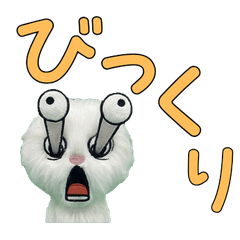 Plush Turkish Angora 9th