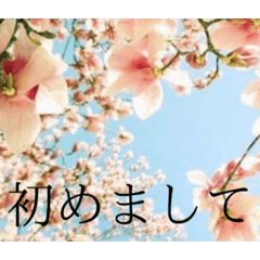 Kaori_20260217151109