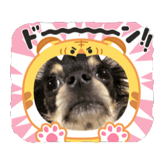 Ryota of the Yamada family 2