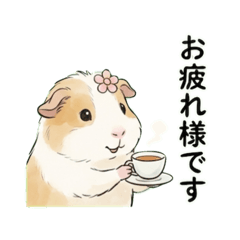 minoko_20260217134037