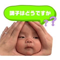 rrrreeen_20260217150309