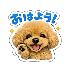 Kaito_20260217150030