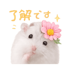 minoko_20260217151654