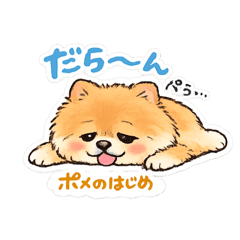 momo_20260217165506