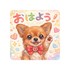 yokko_20260217175743