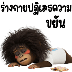 สาวออฟฟิศ สมัยนี้ 19