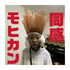 sawayaka_20260218015129