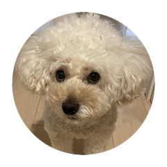 namnam_20260218030935