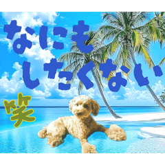 KUROSAKI-P_20260218031104