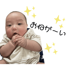 maruyu_20260217173620