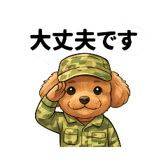 chie_20260217154759