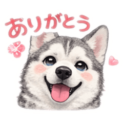 tsunamayo_20260217205942