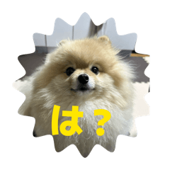 naoki_20260217231210