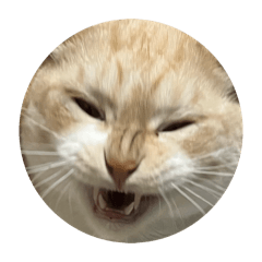 yuhki_20260217161522