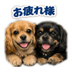 uni ikura_20260217192833