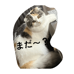 kururun_20260217213842