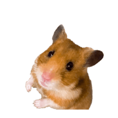 mugi_20260217182339