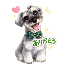 Rider_20260217182902