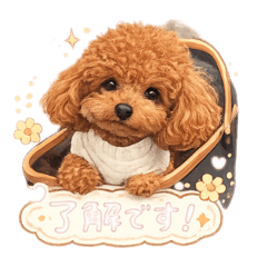 chie_20260217180258