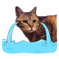 樂大爺來請安囉