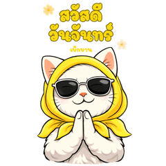 Hello Every Day (7 Day)