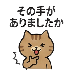 Cute Tabby Cat Daily Life