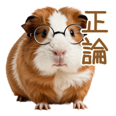 Logical Guinea Pig Reality Check