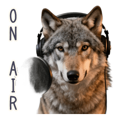 Midnight Radio DJ Wolf On Air
