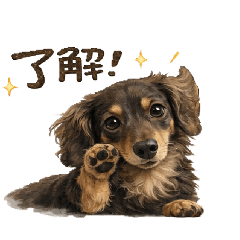 mugicha_20260217194425