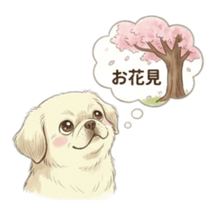 A Melancholy Peke in the Spring Breeze