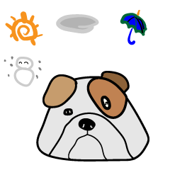 プッチの天気予報