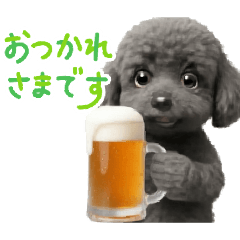 Cute & Handy black poodle