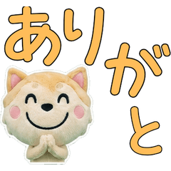 Moving Plush Pekingese 10