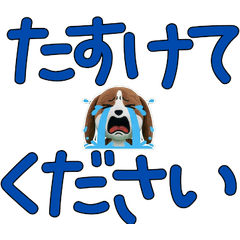 Moving Polite Pointer 12