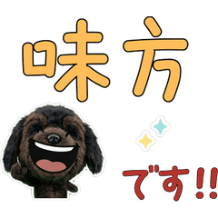 Moving Polite Newfoundland 12