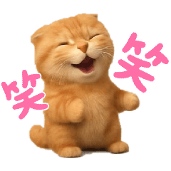 Cute & Handy Scottish Fold