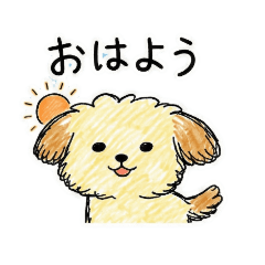 毎日使える虚無マルプー