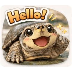 Dolly_20260216131700