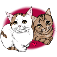 Cat's Feelings: Kitten Edition