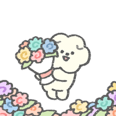 Mosao a fluffy little dog