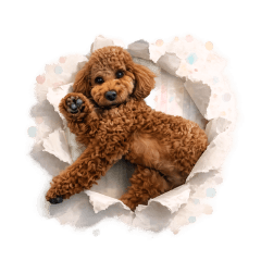 cocoa Daily Life Sticker