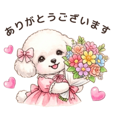 marichan_shop_20260217232104