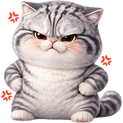 Platoo Tabby Cat (No Text)